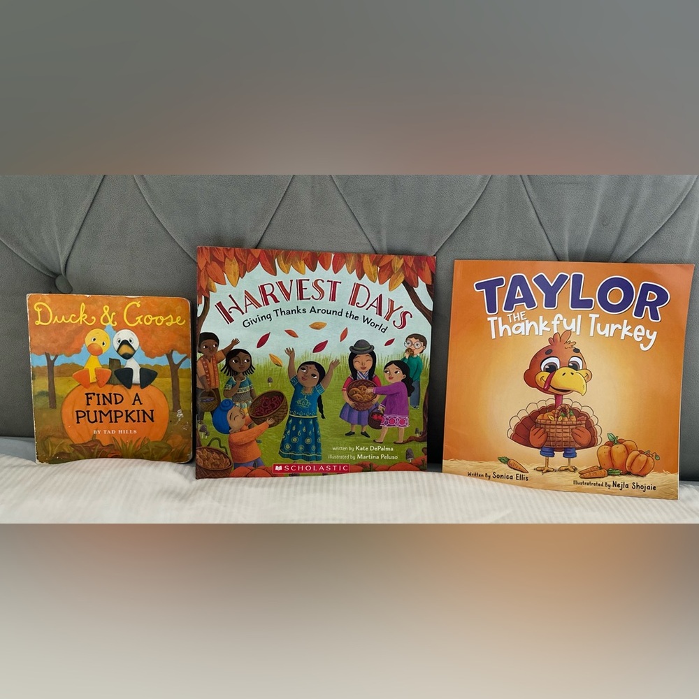 COMPLETE SET of 3  Children Books for Thanksgiving Day (Names & Info Below)